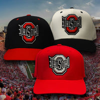 OHIO STATE BUCKEYE$ CRM/BLK (Green UV)